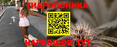 хмурый Бийск