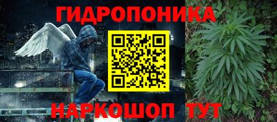 хмурый Бийск