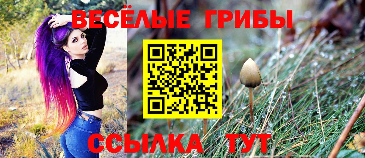 Псилоцибиновые грибы ЛСД  Вход с VPN  Псилоцибиновые грибы мицелий  Пушкино 