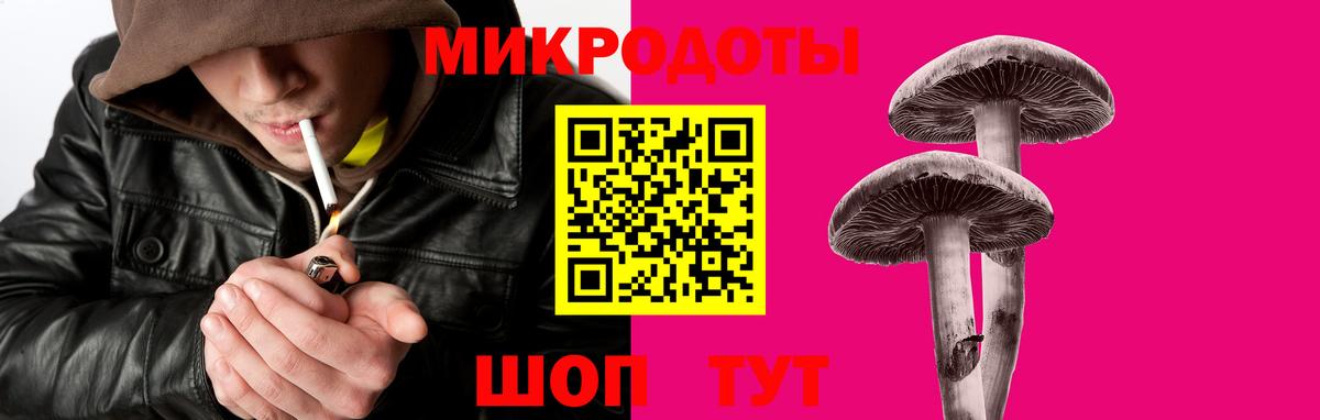 Псилоцибиновые грибы прущие грибы Пушкино